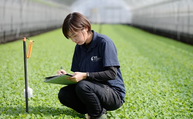 生産性向上